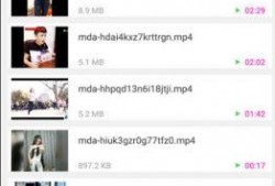 西瓜视频电脑版下载,轻松获取海量视频资源